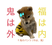 809167934