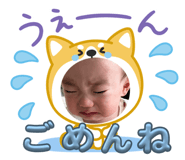 809197241