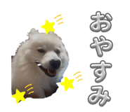809216710