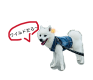 809216713
