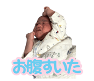 809262538