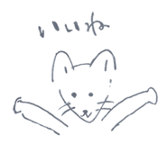 809262581