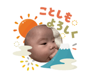 809266531