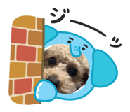 809267932