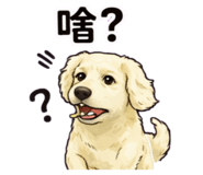 809289336