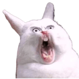 809292553