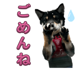 809294814