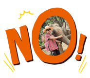 809296484
