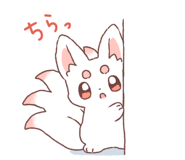 809299211