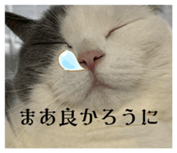 809307170