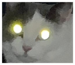 809307192