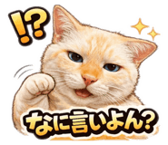 809311519