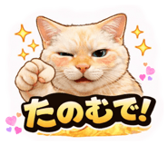 809311521
