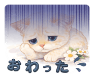 809311534