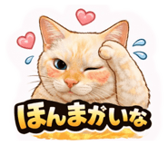 809311541
