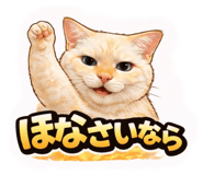 809311544