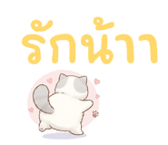 809311832