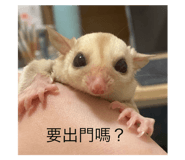 809323165
