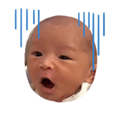 809325309