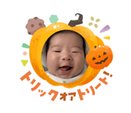 809325844