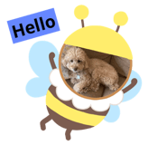 809342753