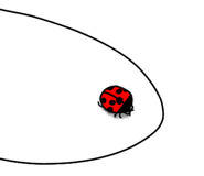 809345520