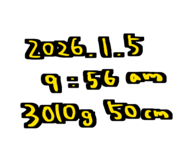 809347376