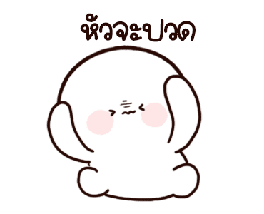 ลายที่ 23