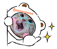 809410844