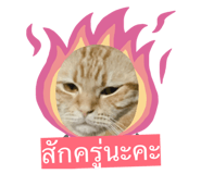 809410874