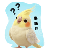 809416322