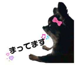 809418693