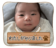 809423341