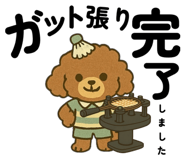 809427225