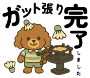 809427227