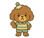 809427257