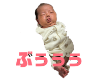 809430500