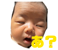 809430502