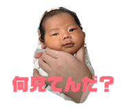 809430504