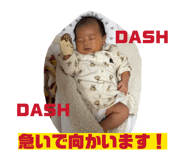 809430507