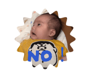 809432018