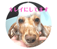 809432023