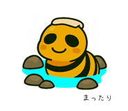 809494833