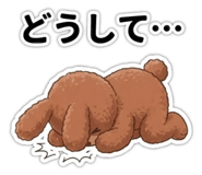 809499037