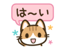 809499081