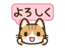 809499093