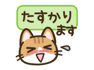 809499094