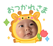 809503627