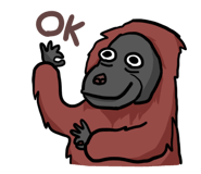 809511447
