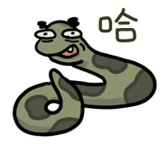 809511451